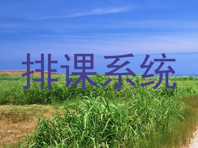 排课系统
