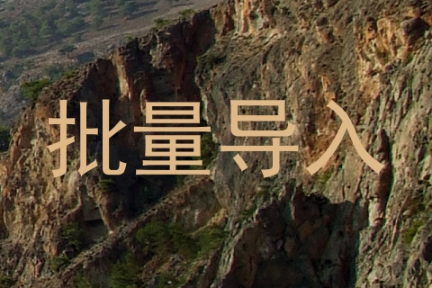 批量导入