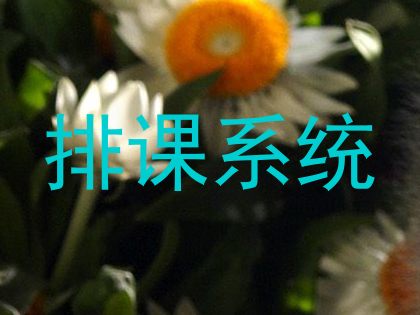 排课系统