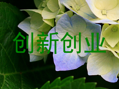 创新创业