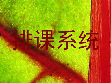排课系统
