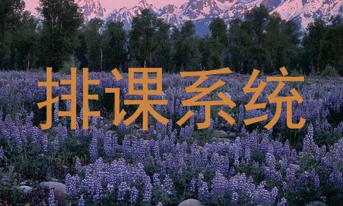 排课系统