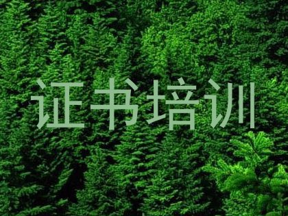 证书培训