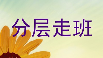 分层走班