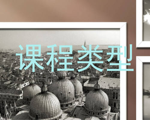 课程类型