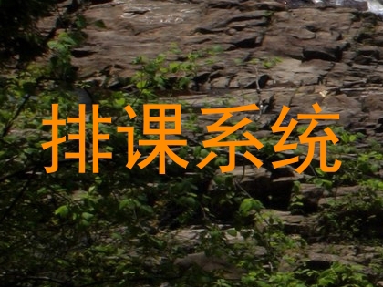 排课系统