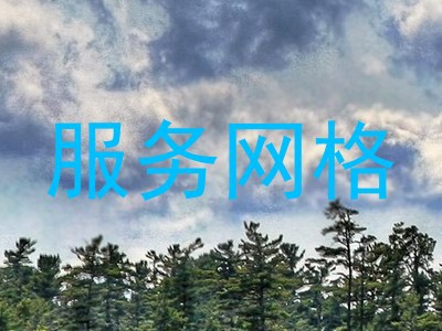 服务网格