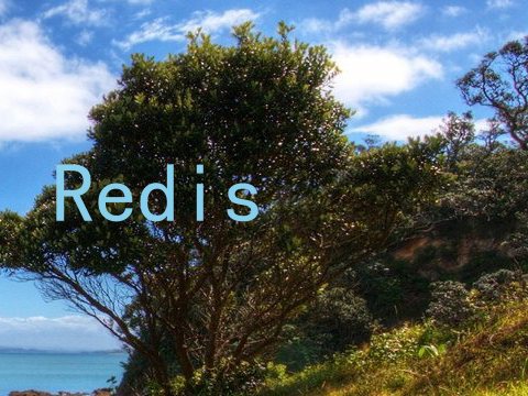 Redis