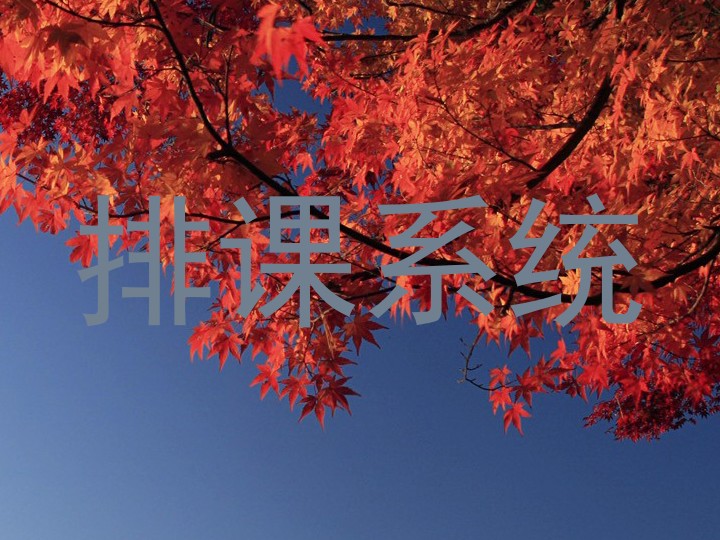 排课系统