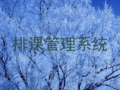 排课管理系统