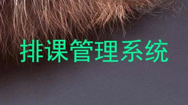 排课管理系统