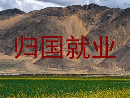 归国就业