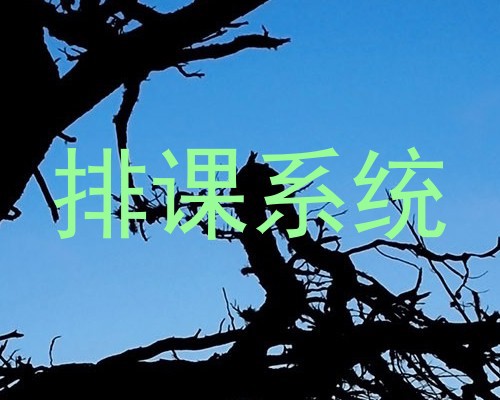 排课系统