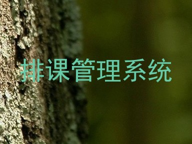 排课管理系统