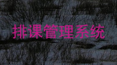 排课管理系统