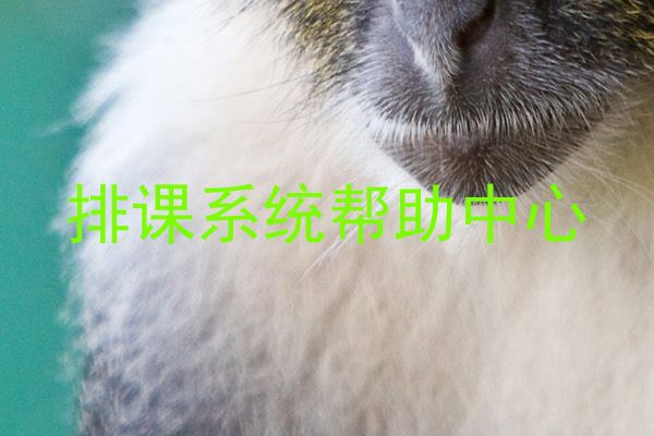 排课系统帮助中心