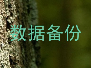 数据备份