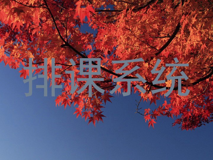 排课系统