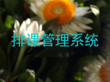排课管理系统