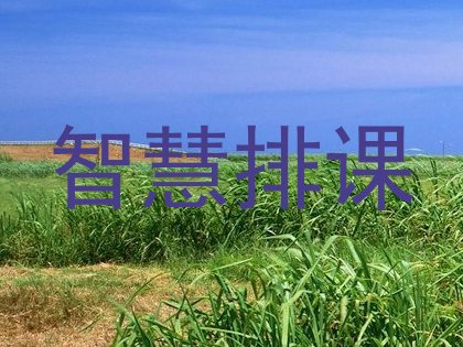 智慧排课