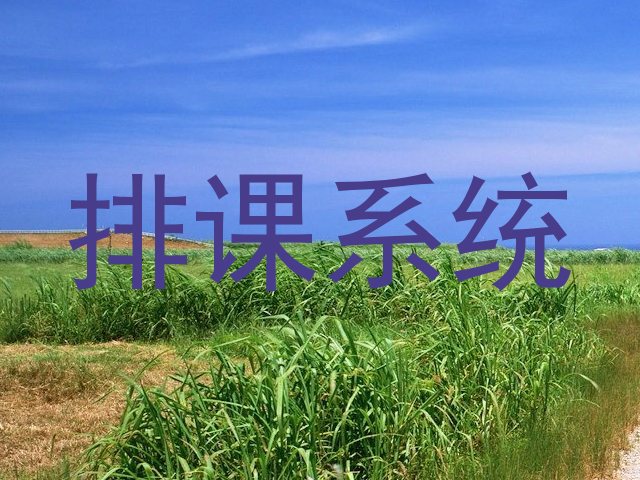 排课系统