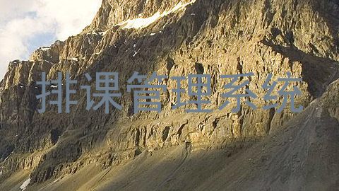 排课管理系统