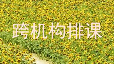 跨机构排课