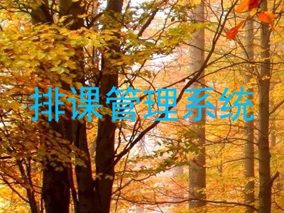 排课管理系统