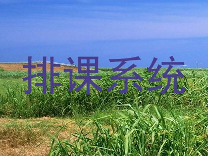 排课系统