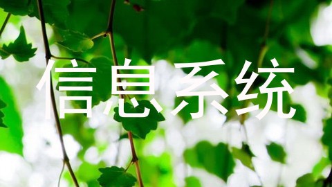 信息系统