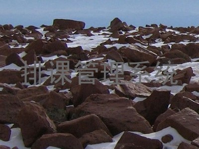 排课管理系统