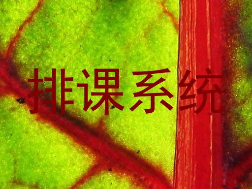 排课系统