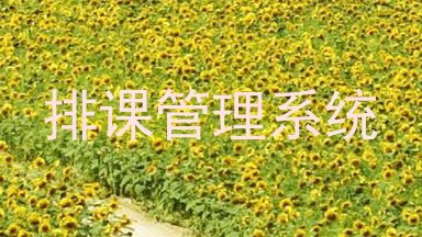 排课管理系统