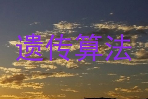 遗传算法