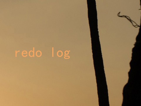 redo log