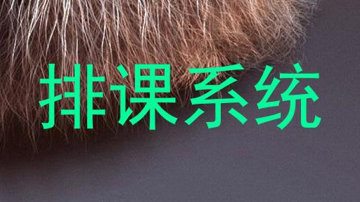 排课系统