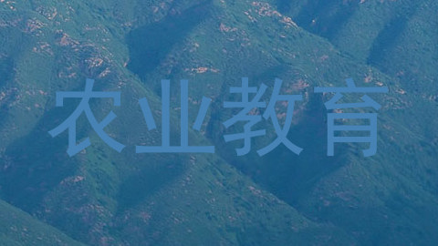 农业教育