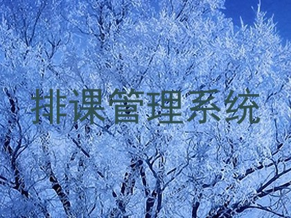 排课管理系统