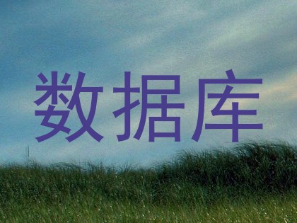 数据库