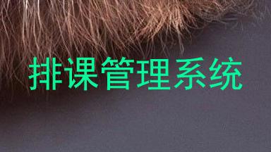 排课管理系统