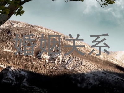 婚姻关系