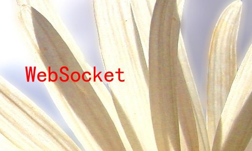 WebSocket