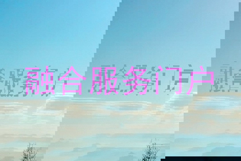融合服务门户