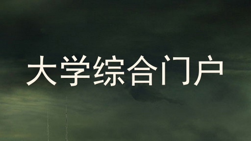 大学综合门户