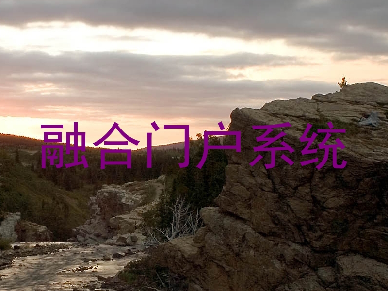 融合门户系统
