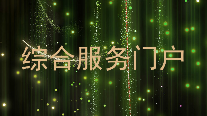 综合服务门户