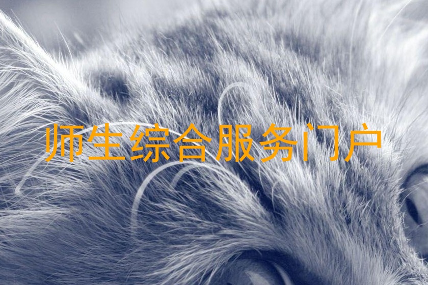 师生综合服务门户