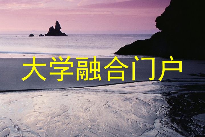 大学融合门户
