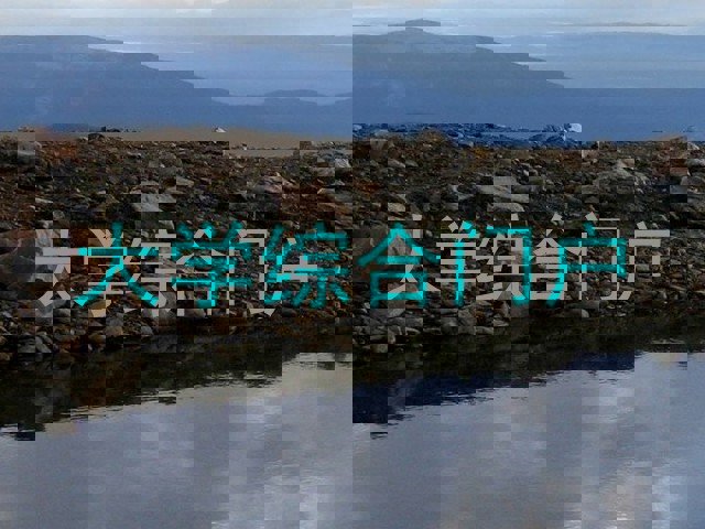 大学综合门户