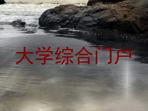 大学综合门户